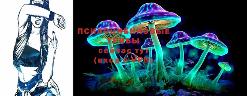 Галлюциногенные грибы MAGIC MUSHROOMS  гидра ТОР  Североуральск  наркотики 